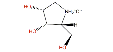 (2R,3S,4R,5R)-Pyrrolidine-(1-hydroxyethyl)-3,4-diol hydrochloride